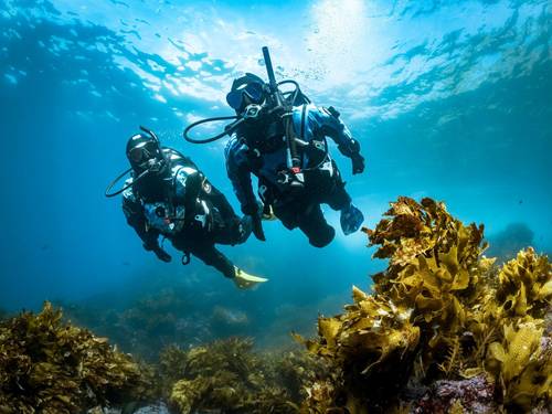 ABYSS UNDERWATER WORLD EXPLORERS BENELUX
