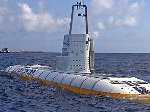 Whale Submarine