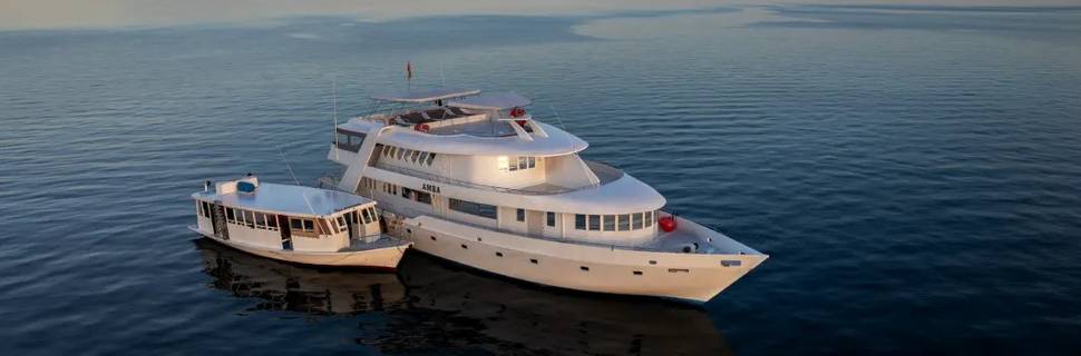 AMBA Dive Private Limited - Liveaboard Maldives