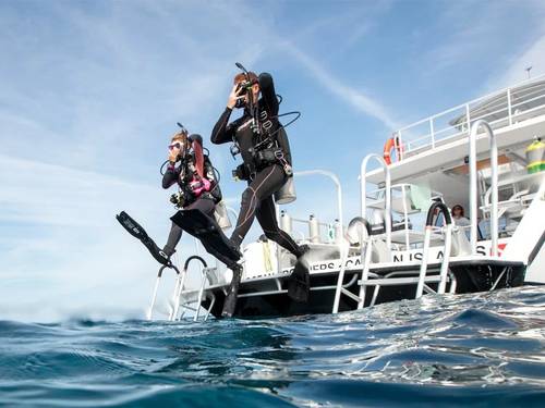 The Wave Diving Center