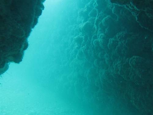 Dive Tel Aviv Diving Center