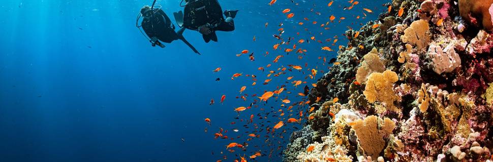 Ocean Lovers Taganga