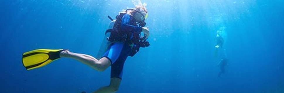 Dive Zone Tauranga