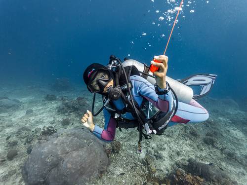 Blue Corner Dive