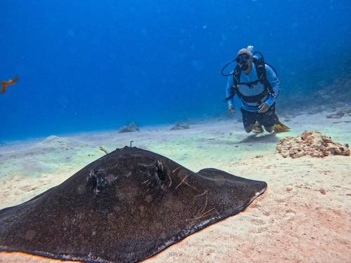 Escuela de Buceo Sea Pride