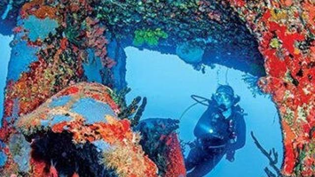 The Dive Shop