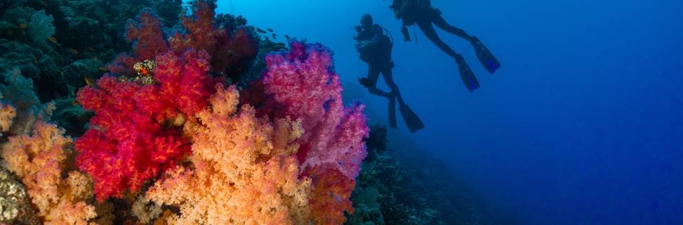 Story Divers - Diving Center Sharm el Sheikh