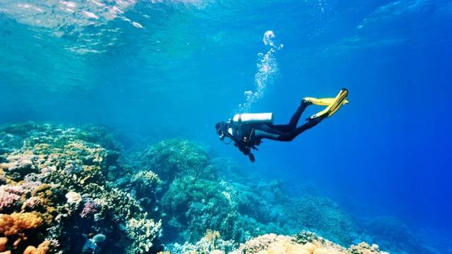 Carpe Diem Maldives (Cruises)