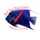 Red Sea Dive Center