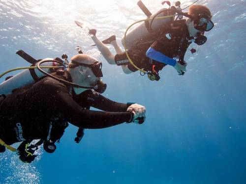 Plongée Koh Phangan Diving