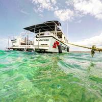 Paradise Scuba