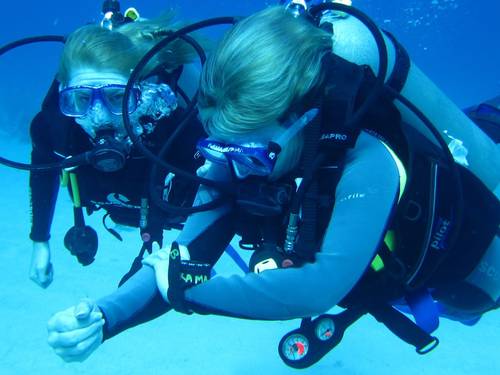 Bananarama Resort & Dive Center