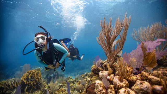 Perhentian Island Divers
