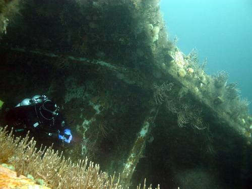 COJO Diving