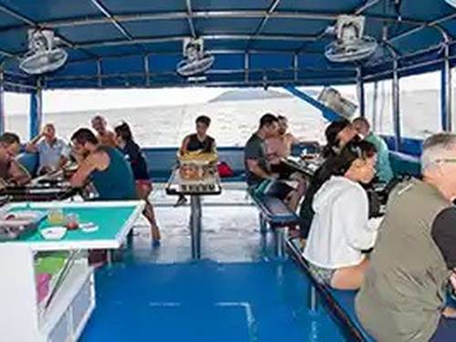 Dolphin Queen Liveaboard