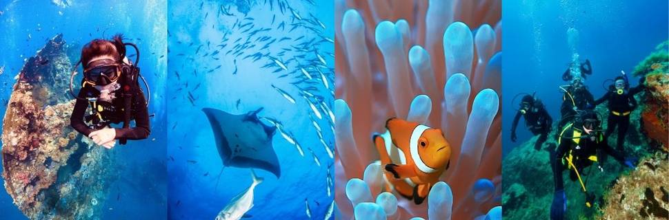 Scuba Go