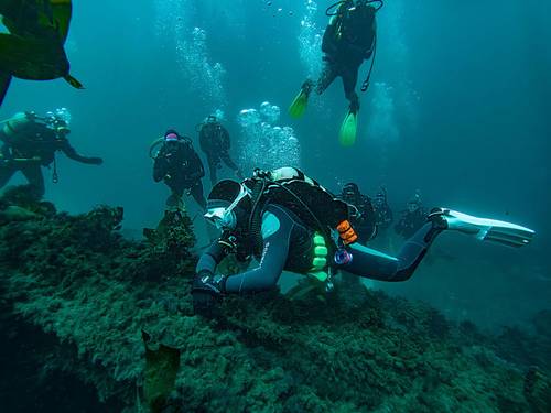 Dive Action