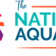 Aquarium Shark Dive