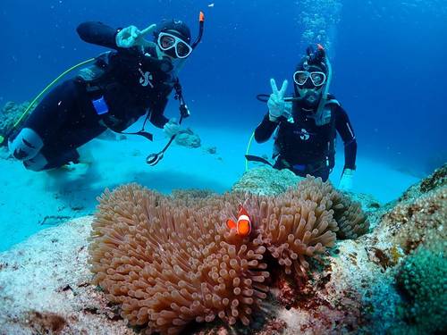 Diving Supplyer Smile