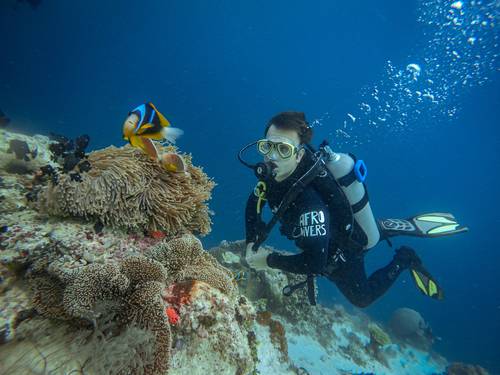 Afro Divers Lodge
