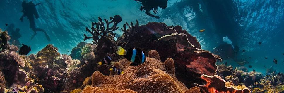 Fisheye Divers Boracay