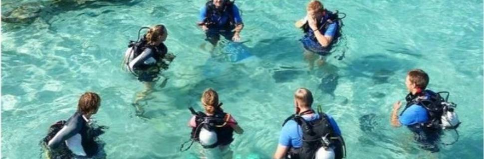Ohlala Divers