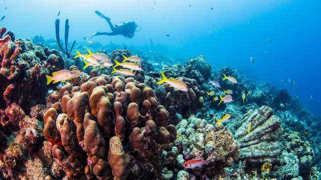 Acqua Adventures Rasdhoo