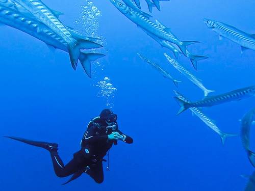 Evasioni Blu Diving