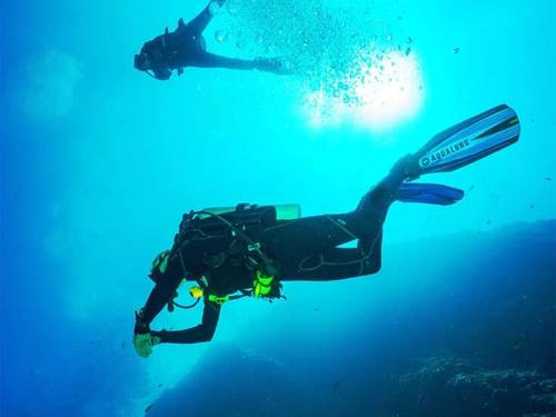 Bunbury Dive