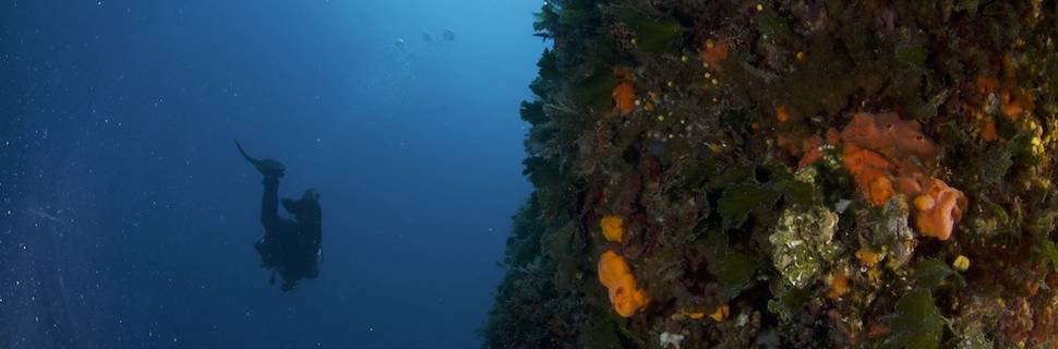 Aqualis Dive Center