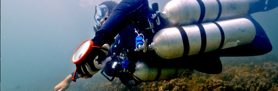 DiveCampus Diving Club