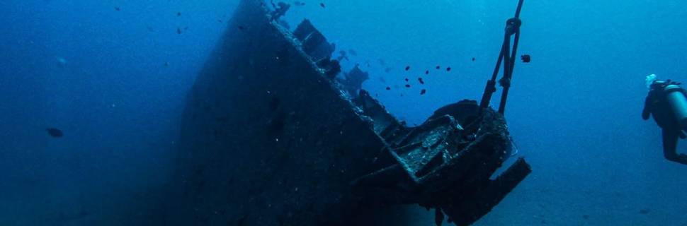 Hawaii Eco Divers
