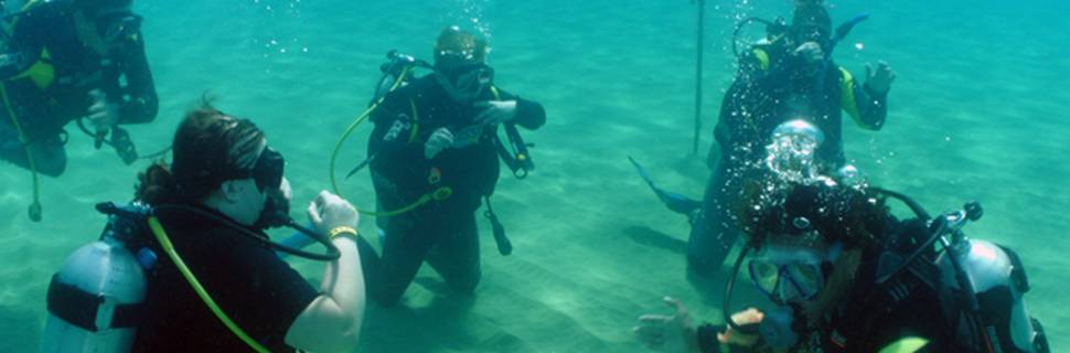 Diwa Dominicana 5 Star diving Center
