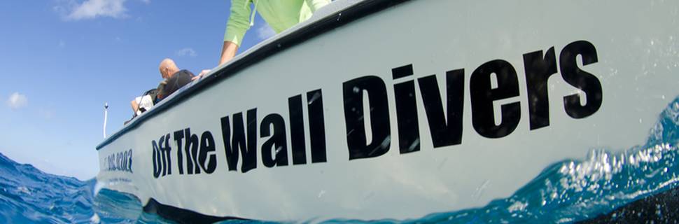 Off The Wall Divers