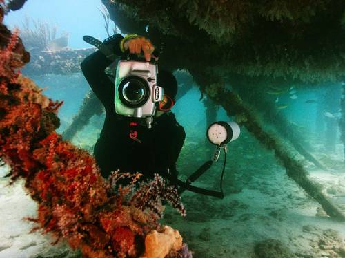 Dive Key West - Capt Hooks LLC