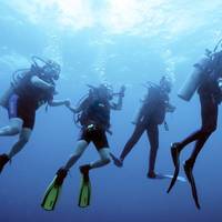 Lulu Dive Center