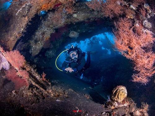 Tulamben Scuba Dive & Snorkeling - Scuba Go Indonesia