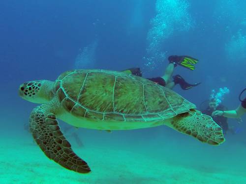 Kalkan Dive Centre