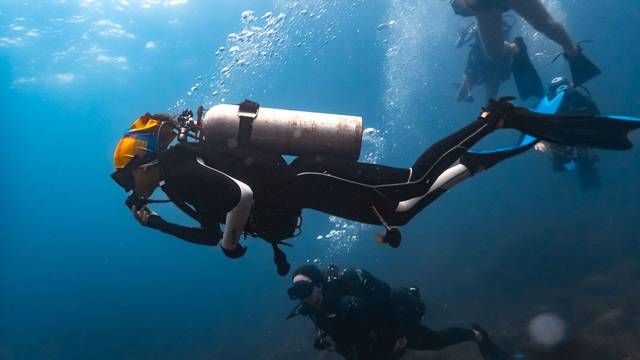 Sealion Dive Center