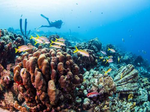 Acqua Adventures Rasdhoo