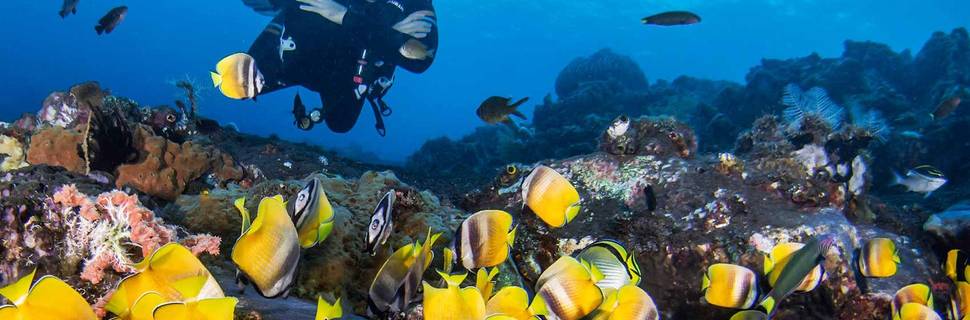 Let's Dive Tulamben