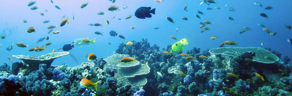 Big Blue Diving Centre