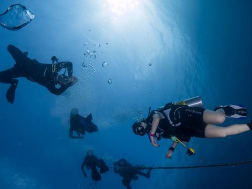Putsker diving club