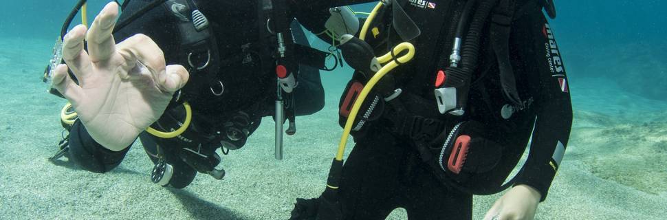 Dive2gether