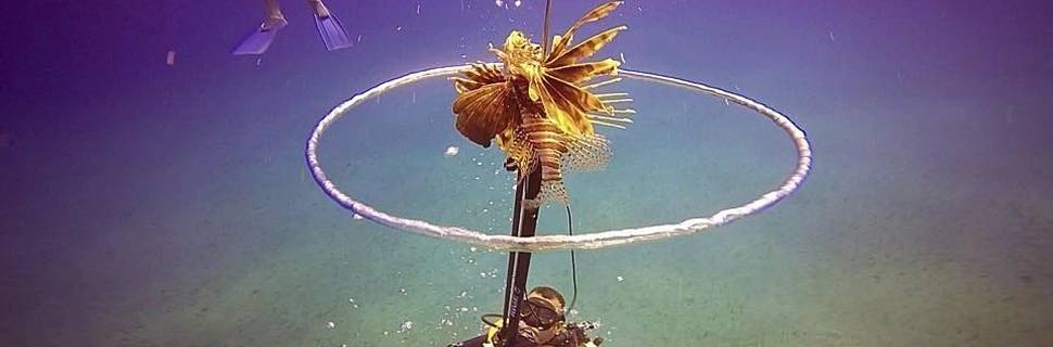 Aqua Adventures by Scuba Dive Sosua