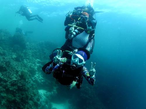 Panda Scuba