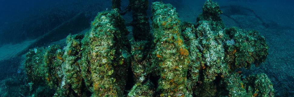 Blue Planet Diving Center