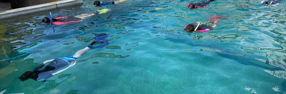 The Divers Den Sdn Bhd