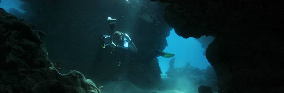 Best Divers