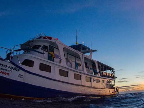 Dolphin Queen Liveaboard